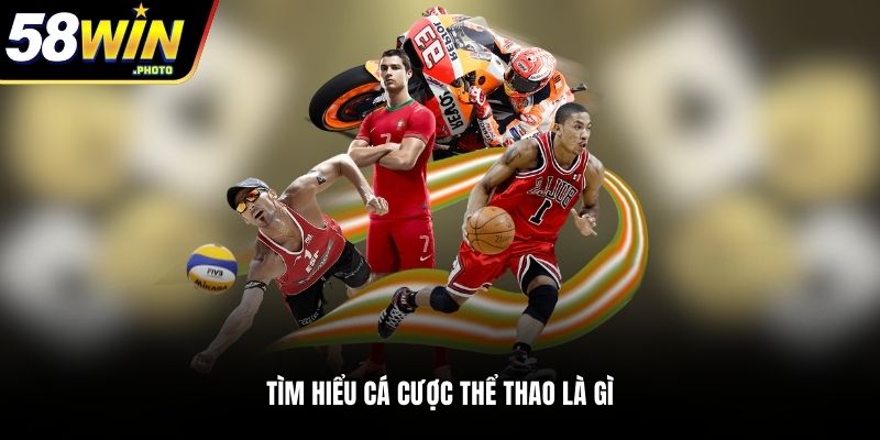 Tìm hiểu cá cược thể thao 58WIN là gì